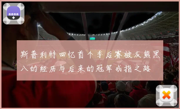 斯普利特回忆首个季后赛被灰熊黑八的经历与后来的冠军戒指之路